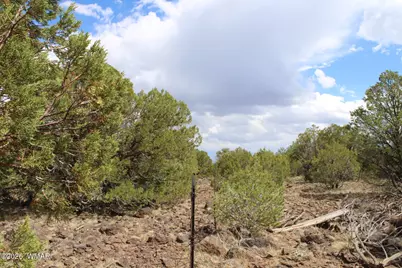 96 N Lyon Gate Drive, Snowflake, AZ 85937 - Photo 5