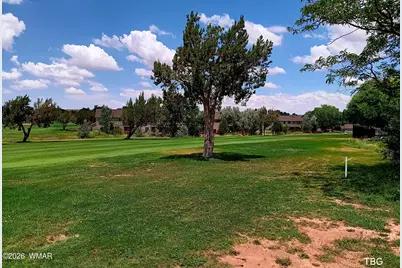 96 N Lyon Gate Drive, Snowflake, AZ 85937 - Photo 13
