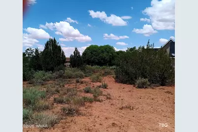 96 N Lyon Gate Drive, Snowflake, AZ 85937 - Photo 7