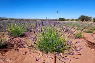 67 N 6402, Saint Johns, AZ 85936 - Photo 49