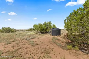 67 N 6402, Saint Johns, AZ 85936 - Photo 37