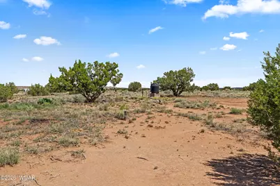 67 N6402, Saint Johns, AZ 85936 - Photo 31