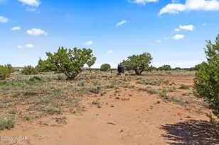 67 N 6402, Saint Johns, AZ 85936 - Photo 31