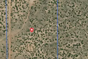 10 Cr N 7341, Chambers, AZ 86502 - Photo 3