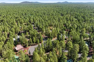 6333 Dun Cir, Pinetop, AZ 85935 - Photo 23