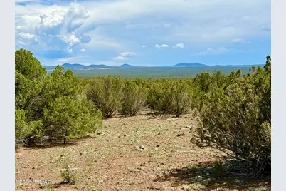 0 Gample Ln. 13 Acres (Lot A), Show Low, AZ 85901 - Photo 3