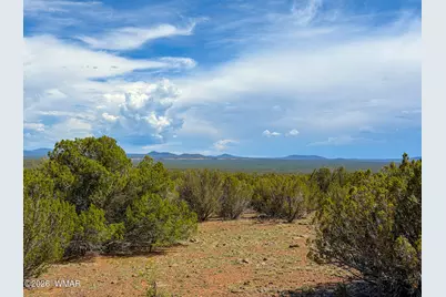 0 Gample Ln. 13 Acres (Lot A), Show Low, AZ 85901 - Photo 15