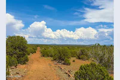 0 Gample Ln. 13 Acres (Lot A), Show Low, AZ 85901 - Photo 7