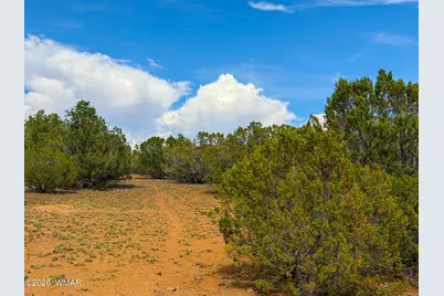 0 Gample Ln. 13 Acres (Lot A), Show Low, AZ 85901 - Photo 19