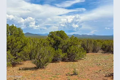 0 Gample Ln. 13 Acres (Lot A), Show Low, AZ 85901 - Photo 11