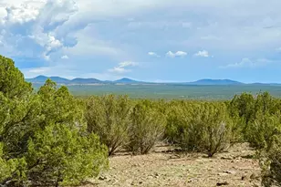 0 0 Gample Ln 13 Acres (Lot B), Show Low, AZ 85901 - Photo 1