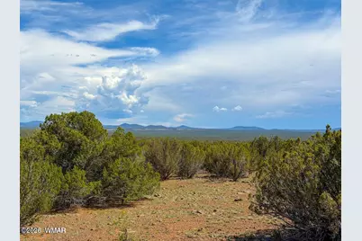 0 0 Gample Ln. 13 Acres (Lot B), Show Low, AZ 85901 - Photo 15