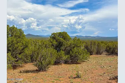 0 0 Gample Ln. 13 Acres (Lot B), Show Low, AZ 85901 - Photo 11