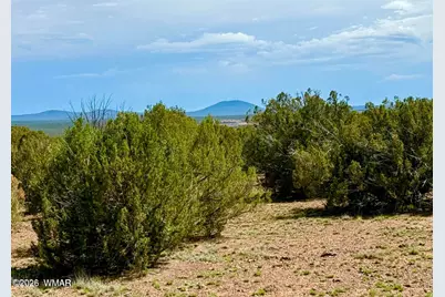 0 0 Gample Ln. 13 Acres (Lot B), Show Low, AZ 85901 - Photo 5