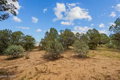 1300 N Fairway Lane, Show Low, AZ 85901 - Photo 15