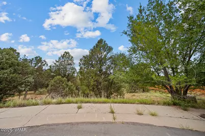 1300 N Fairway Lane, Show Low, AZ 85901 - Photo 13