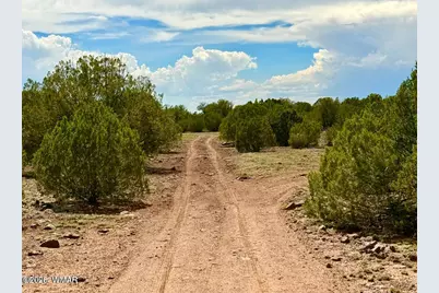 0 Gample Ln. 13 Acres (Lot C), Show Low, AZ 85901 - Photo 23