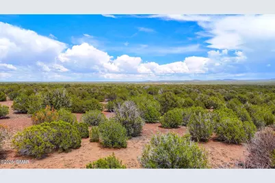 0 Gample Ln. 13 Acres (Lot C), Show Low, AZ 85901 - Photo 13