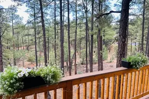 1651 W Snow Creek Loop, Show Low, AZ 85901 - Photo 9