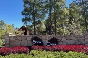 1651 W Snow Creek Loop, Show Low, AZ 85901 - Photo 29