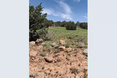 79 Co Road, Concho, AZ 85924 - Photo 3