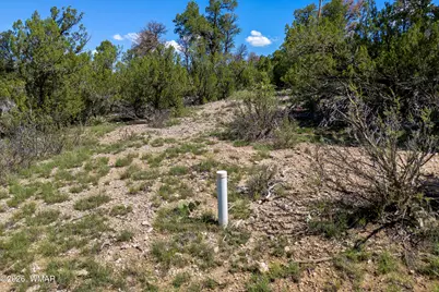 1887 Little Doe Trail, Heber, AZ 85928 - Photo 3