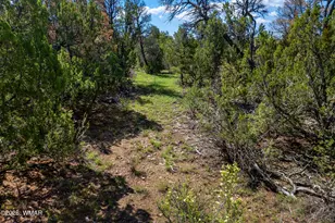 1887 Little Doe Trail, Heber, AZ 85928 - Photo 1