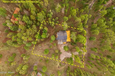26 N County Road 1062, Greer, AZ 85927 - Photo 43