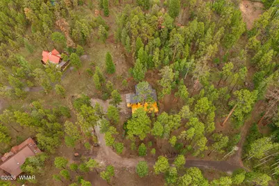 26 N County Road 1062, Greer, AZ 85927 - Photo 39