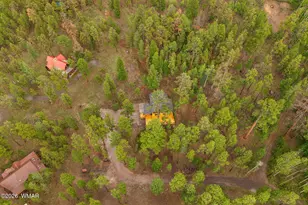 26 N County Road 1062, Greer, AZ 85927 - Photo 39