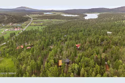 26 N County Road 1062, Greer, AZ 85927 - Photo 41
