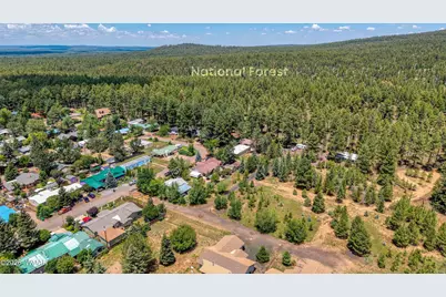 1301 S Rosemarie Drive, Pinetop, AZ 85935 - Photo 19