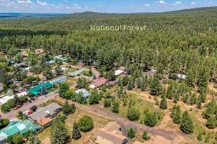1301 S Rosemarie Dr, Pinetop, AZ 85935 - Photo 19