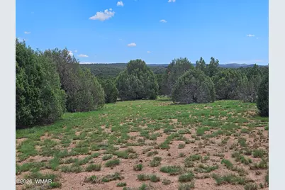 Tbd Birdwing Lane, Clay Springs, AZ 85923 - Photo 5