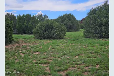 Tbd Birdwing Lane, Clay Springs, AZ 85923 - Photo 11