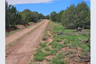 Tbd Birdwing Lane, Clay Springs, AZ 85923 - Photo 15