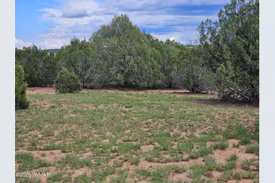 Tbd Birdwing Lane, Clay Springs, AZ 85923 - Photo 9