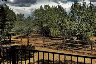1961 N Covered Wagon Loop, Show Low, AZ 85901 - Photo 59