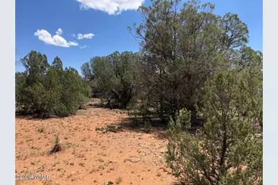 1128 Sapphire Lane, Show Low, AZ 85901 - Photo 5