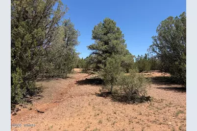 1128 Sapphire Lane, Show Low, AZ 85901 - Photo 7