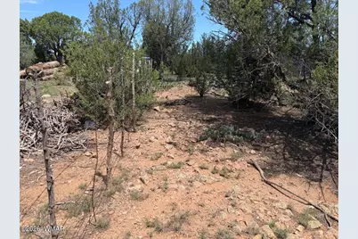 1128 Sapphire Lane, Show Low, AZ 85901 - Photo 3
