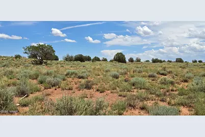 Tbd 22 Ac, Snowflake, AZ 85937 - Photo 11