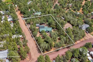 2972 Tall Pine Rd, Show Low, AZ 85901 - Photo 3