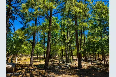 [Address not provided], Lakeside, AZ 85929 - Photo 9