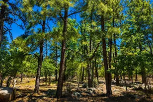 [Address not provided], Lakeside, AZ 85929 - Photo 9