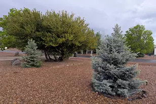 7092 Shilo Trail, Show Low, AZ 85901 - Photo 21