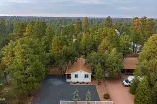 2112 Blue Jay Rd, Overgaard, AZ 85933 - Photo 39