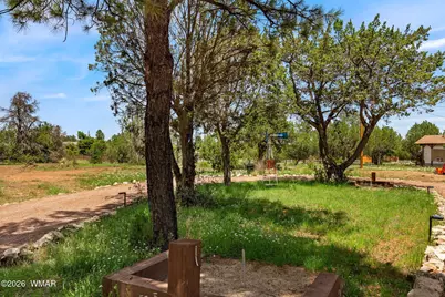 3351 Apache Drive, Overgaard, AZ 85933 - Photo 5