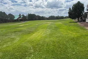 1951 Lynx Dr, Show Low, AZ 85901 - Photo 21