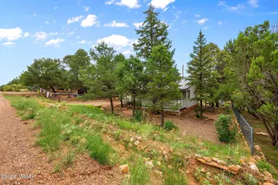 3521 Quail Run Road, Overgaard, AZ 85933 - Photo 13